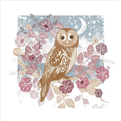 Nigel Quiney Owl Woodland Nature Blank Card