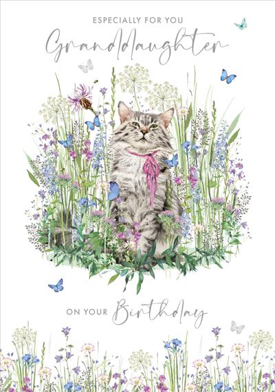 Nigel Quiney Granddaughter Birthday Card