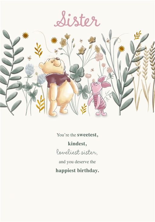 Hallmark Winnie The Pooh Sister Birthday Card