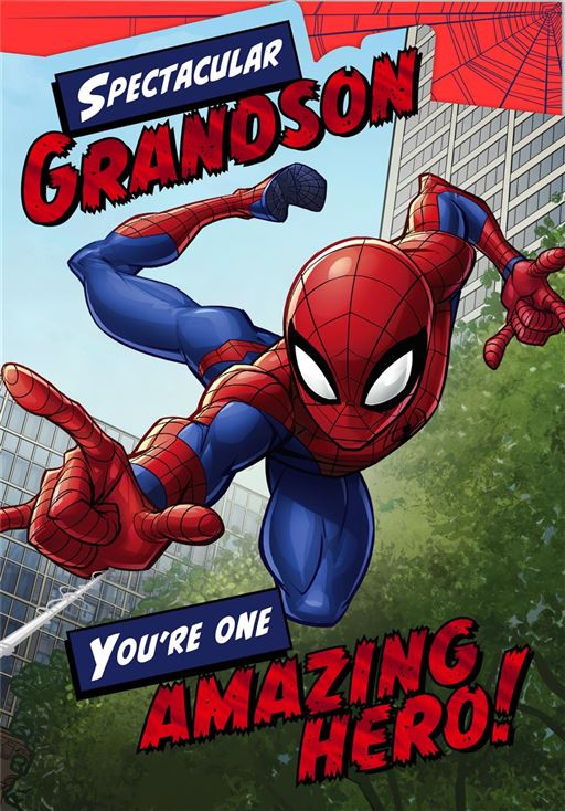 Hallmark Spiderman Grandson Birthday Card