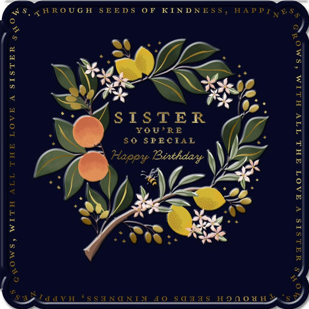 Hallmark Sister Birthday Card