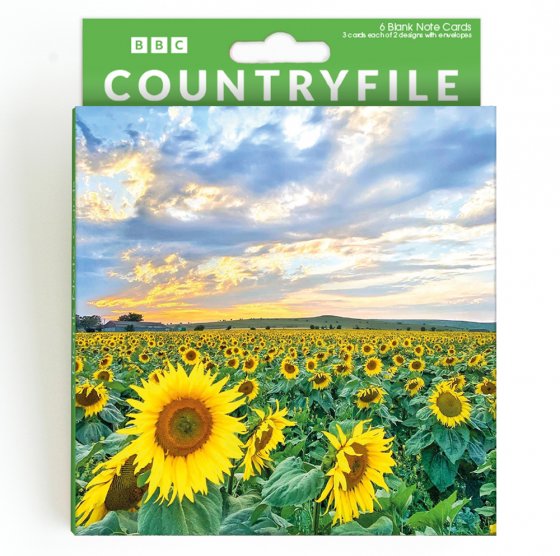 Abacus BBC Countryfile 6 Blank Notelets