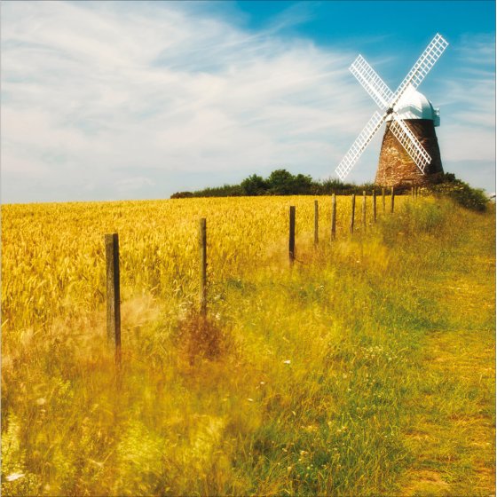 Woodmansterne National Trust, Halnaker Windmill, The Downs, Near Chichester, Blank Card