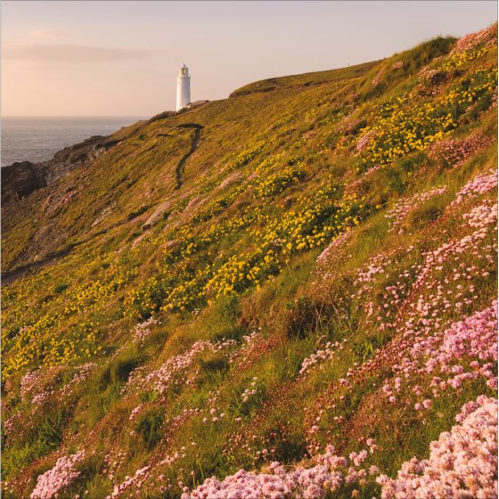 Woodmansterne National Trust, Trevose Lighthouse, Cornwall, Blank Card