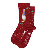 Wrendale "Christmas Scarves" Duck Socks