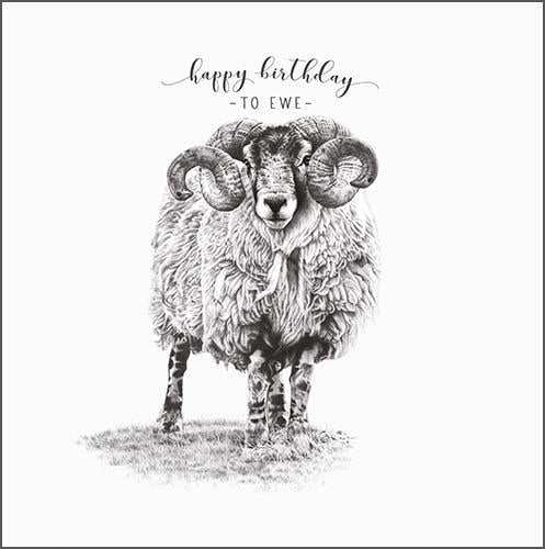 Pigment Happy Birthday to Ewe Sheep Birthday Card