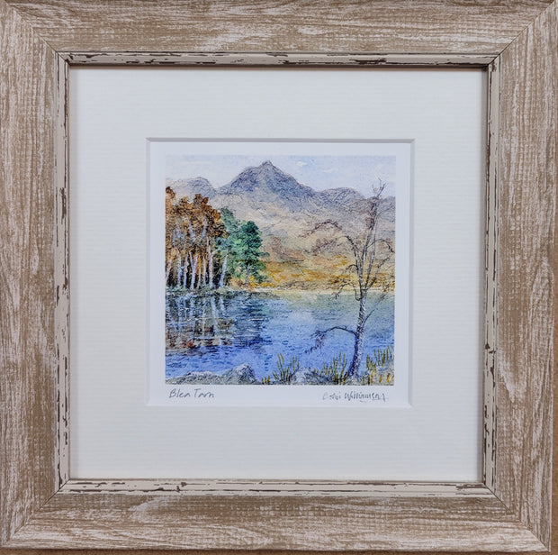 Colin Williamson Blen Tarn, Lake District, Mounted and Framed Picture
