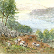 Colin Williamson Windermere Sheep, Lake District, Mounted and Framed Picture