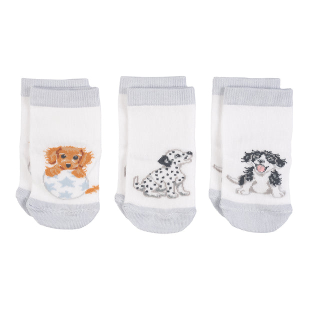 Wrendale Little Paws' Baby Socks - 0-6 Months set of 3