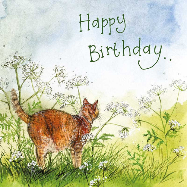 Alex Clark Cat & Cow Parsley Happy Birthday card