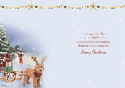 ICG Grandson Christmas Card**