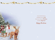 ICG Brother Christmas Card**