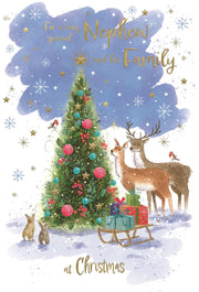 ICG Nephew & His Family Christmas Card**