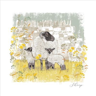 Nigel Quiney Sheep Woodland Nature Blank Card*