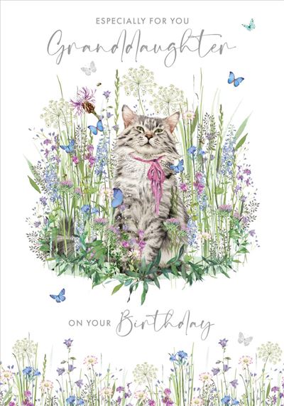 Nigel Quiney Granddaughter Birthday Card*