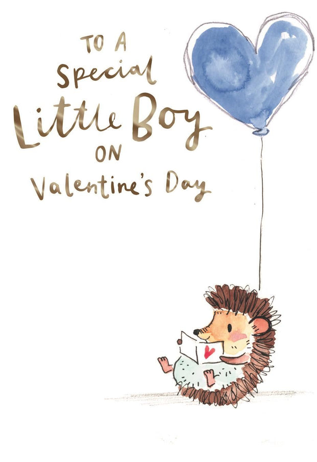 Hallmark For A Special Little Boy Valentine's Day Card