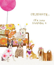 Nigel Quiney Fluff Dog Party Chair Birthday Card*
