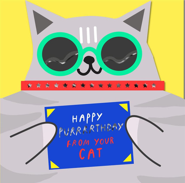 Hallmark Happy Birthday from the Cat Card*