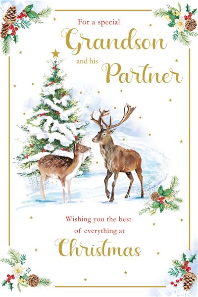 Grassroots Grandson & Partner Christmas Card**