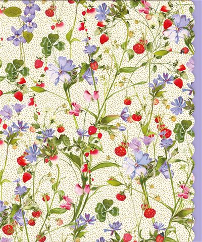 Nigel Quiney Pizazz Gallery Strawberries Birthday Card*
