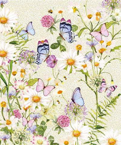 Nigel Quiney Pizazz Gallery Oxeye Daisies Blank Card*
