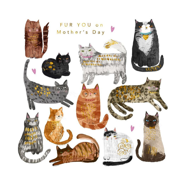 Hallmark From The Cat Mother's Day Card