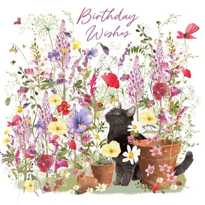 Nigel Quiney Pizazz CAT IN GARDEN Birthday Card*