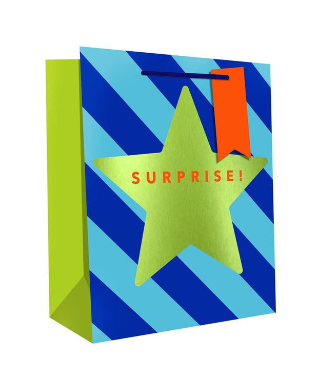 Hallmark Medium Gift Bag*