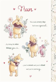Hallmark Nan Birthday Card*