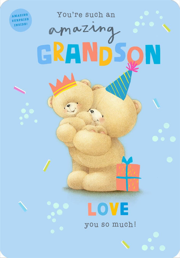 Hallmark Forever Friends Grandson Birthday Card*