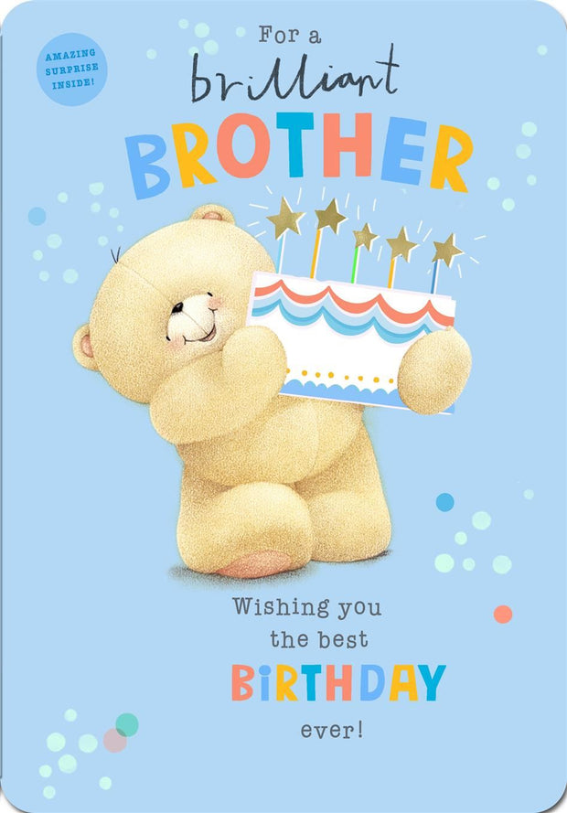 Hallmark Forever Friends Brother Birthday Card*