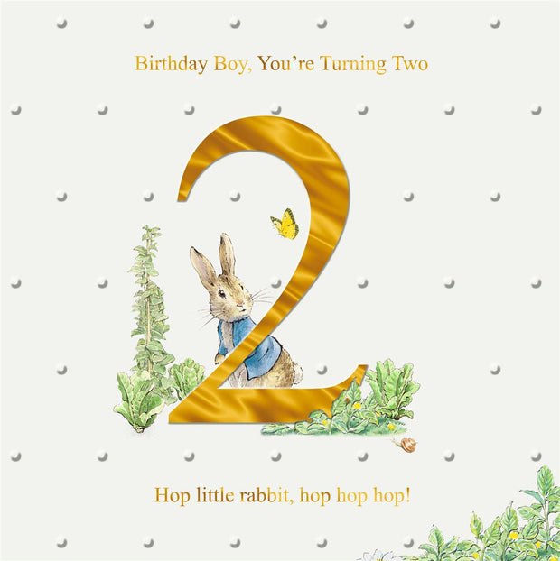 Hallmark 2nd Birthday Beatrix Potter Peter Rabbit Card*