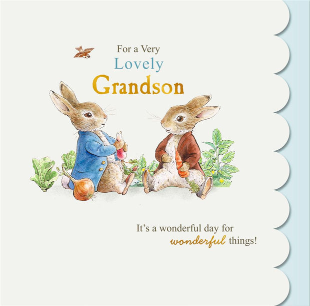 Hallmark Grandson Beatrix Potter Peter Rabbit Birthday Card*