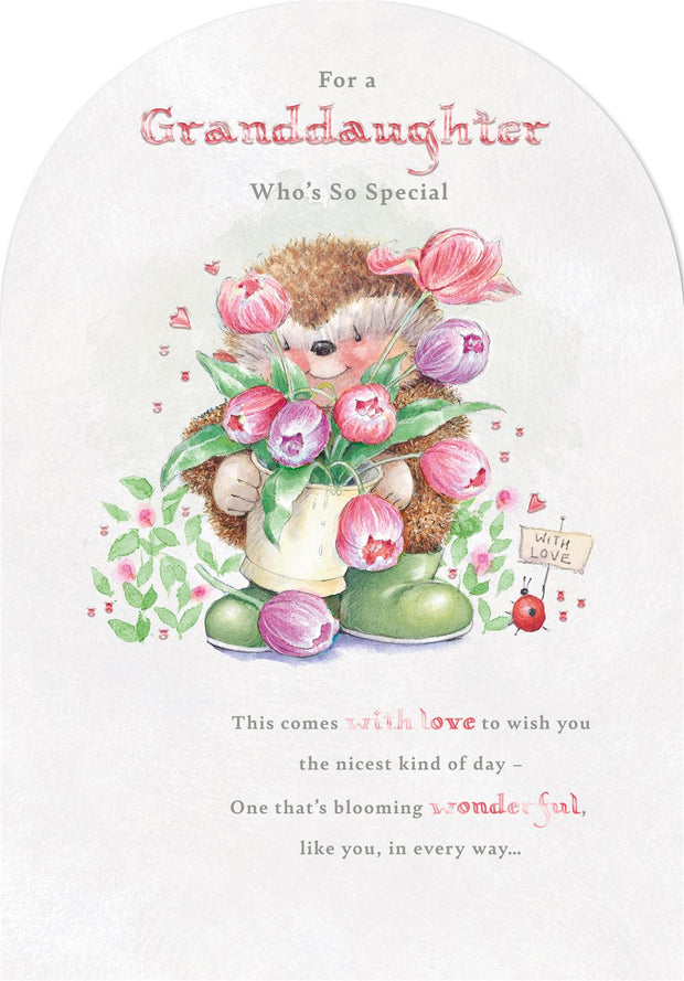 Hallmark Granddaughter Country Companions Birthday Card*