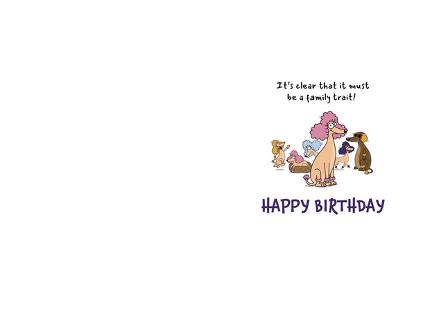 Hallmark Sister Birthday Card
