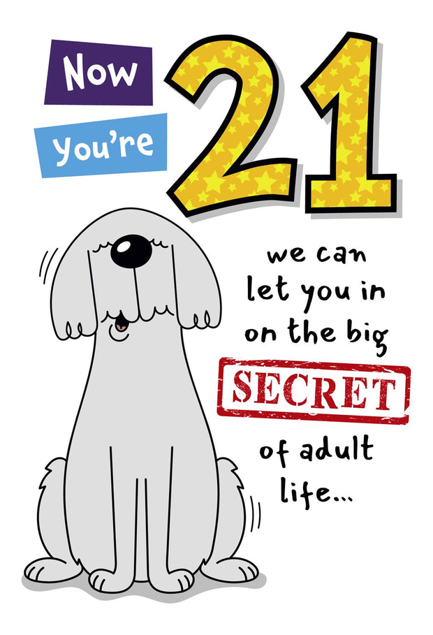 Hallmark 21st Birthday Card*