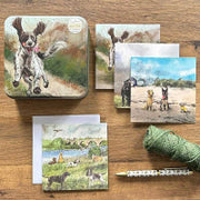 Alex Clark Dogs Notecard Tin*