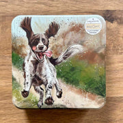 Alex Clark Dogs Notecard Tin*