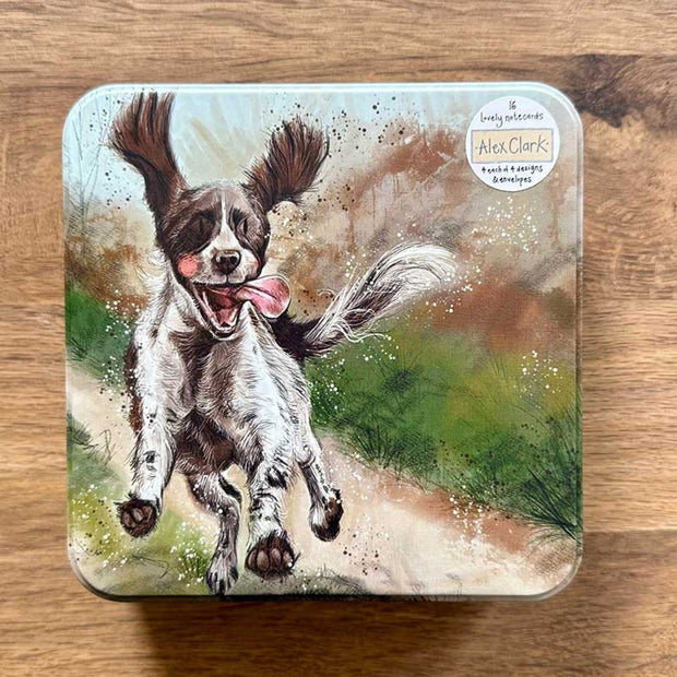 Alex Clark Dogs Notecard Tin*