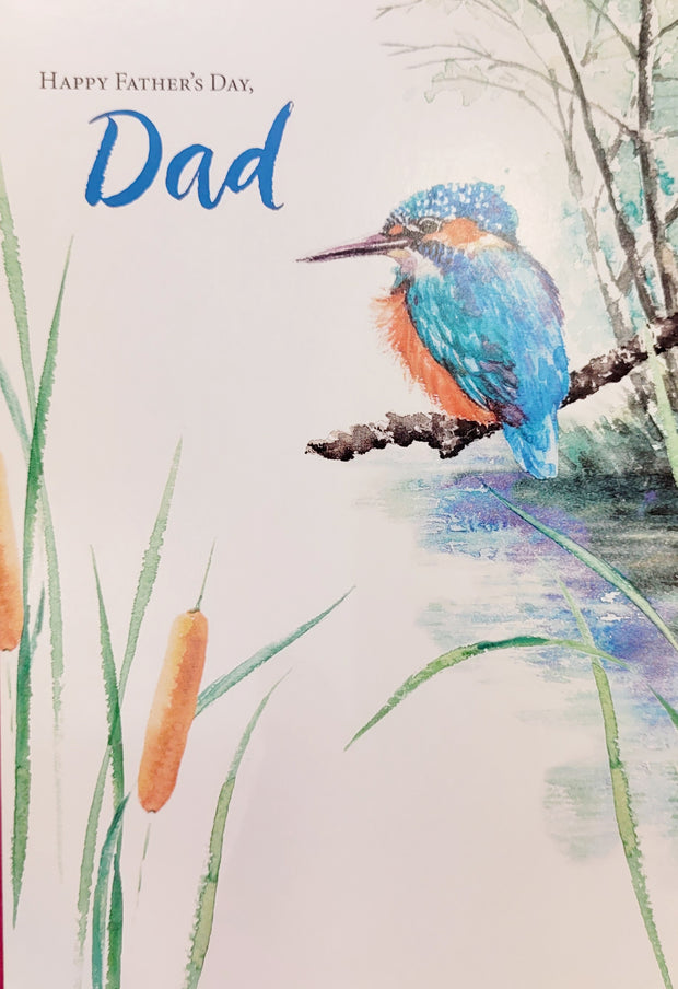 Hallmark Dad Father's Day Card*