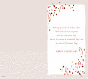 ICG Step-Son Christmas Card**