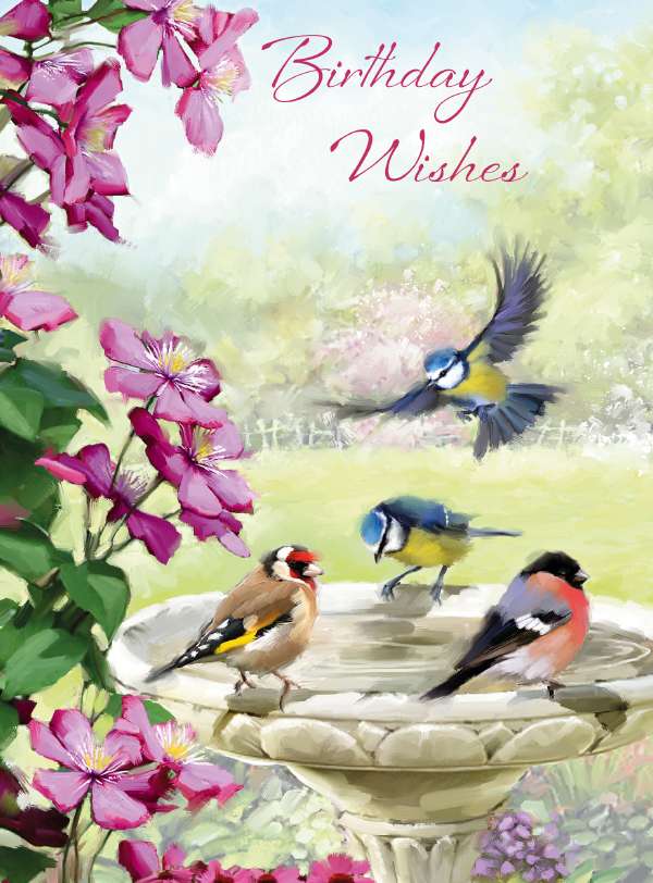 Noel Tatt Garden Birds Birthday Card*