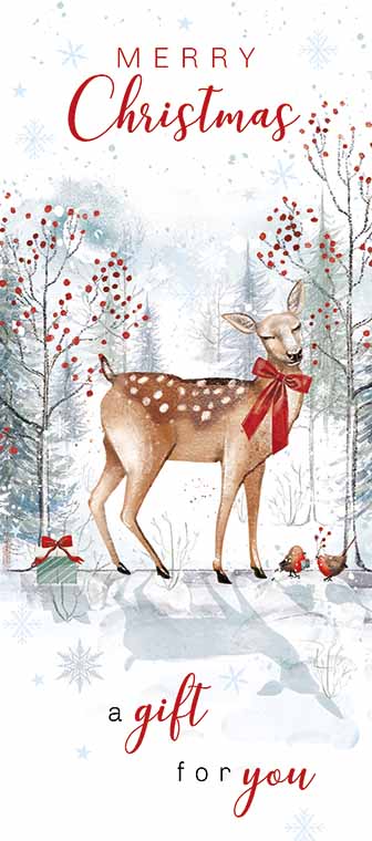 Noel Tatt Money Wallet Christmas Card