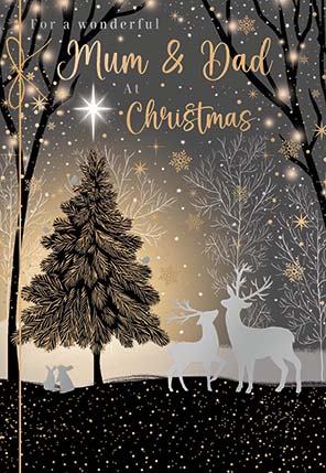 Noel Tatt Mum & Dad Christmas Card**