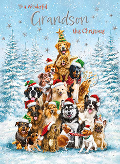 Noel Tatt Grandson Christmas Card**
