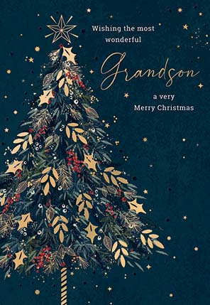 Noel Tatt Grandson Christmas Card**