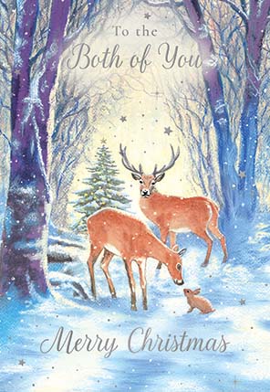 Noel Tatt Both of You Christmas Card**