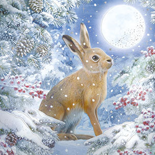 Noel Tatt Box of 8 Christmas Card**