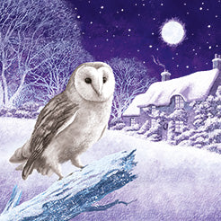 Noel Tatt Box of 12 Christmas Card**
