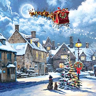 Noel Tatt Pack of 8 Charity Christmas Card**